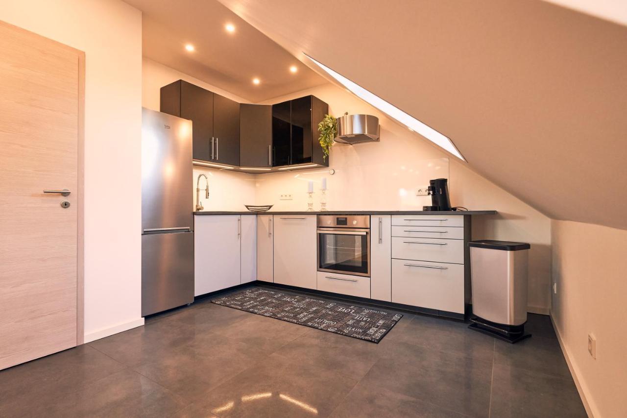 118Qm Premium Apartment - Birkenfeld National Park Ellweiler Kültér fotó